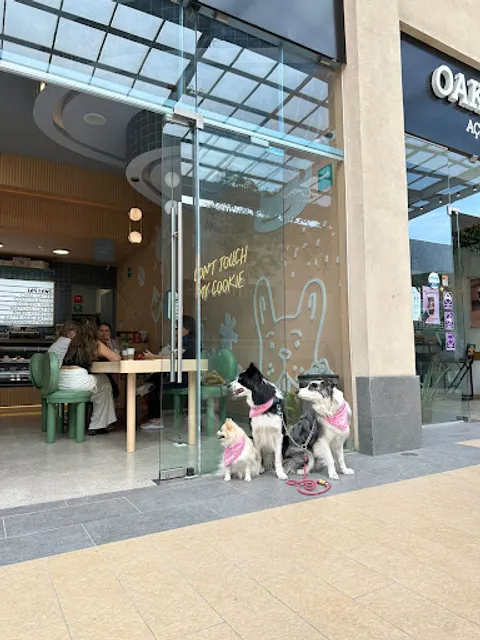 Batte que Batte Solesta