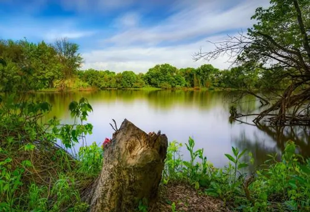 Loop Island Wetlands