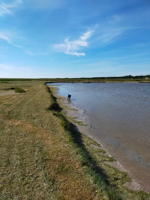 Réserve de la Baie de Canche par les Molières
