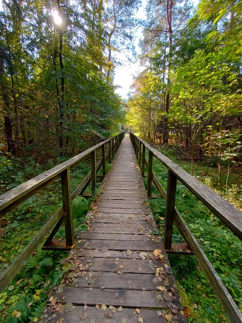 gmina Dębowa Kłoda