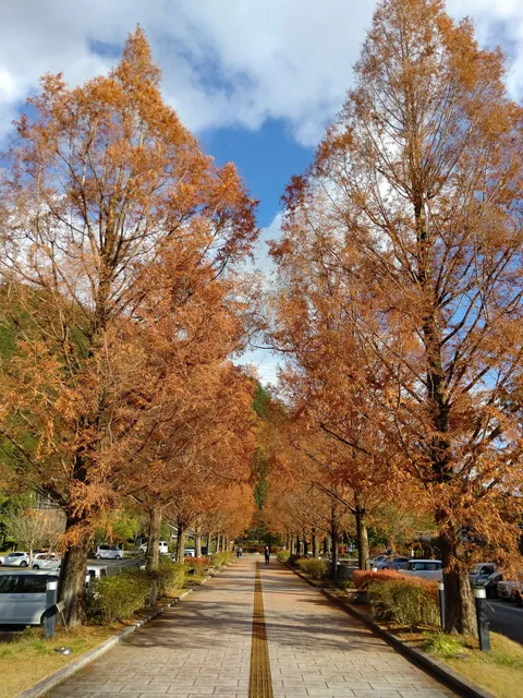 Wadayamachuobunka Park