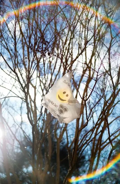 Chiayi Bazhang River embankment Gold wind Suzuki Trail