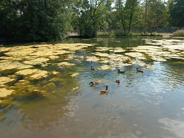 photo-2