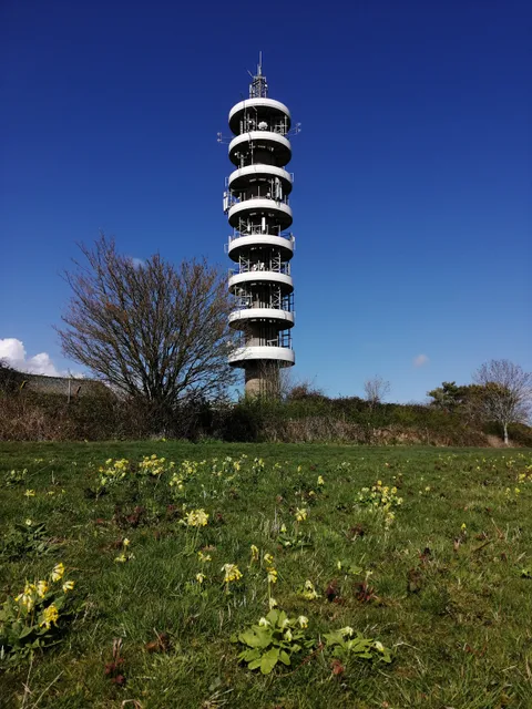 Purdown BT Tower