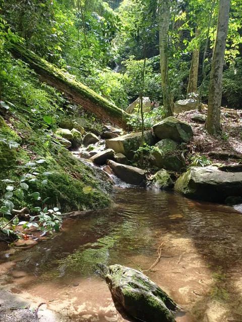 Quebrada Las Adjuntas