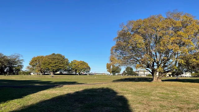 Ubayama Shell Mound Park