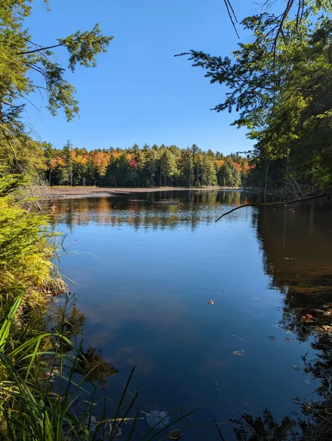 Northwood Meadows State Park