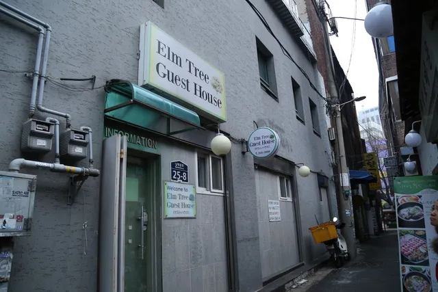 Elm Tree Guesthouse Myeongdong