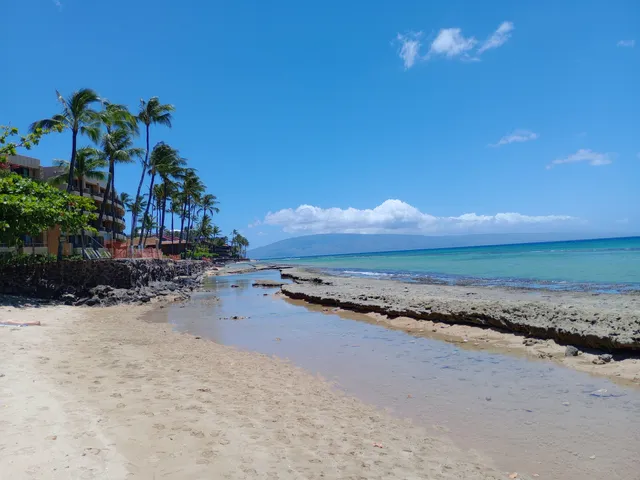 Honokōwai Beach Park