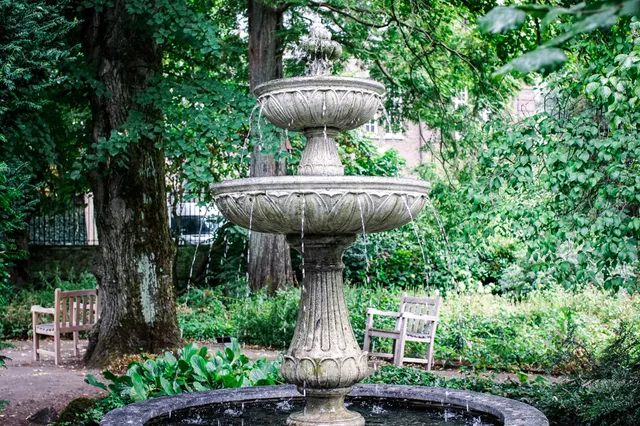 Botanische Tuin Kralingen - Natuurstad