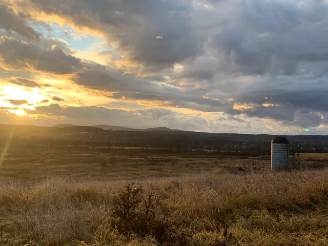 Alfred Z. Solomon Grassland Bird Trail & Viewing Area ~ Grassland Bird Trust