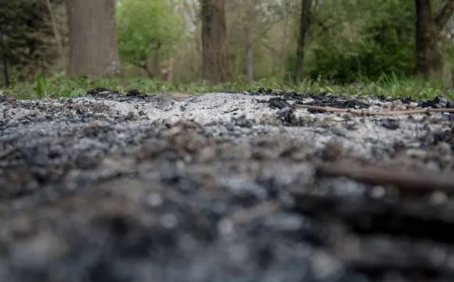 Bull's Run Nature Sanctuary And Arboretum