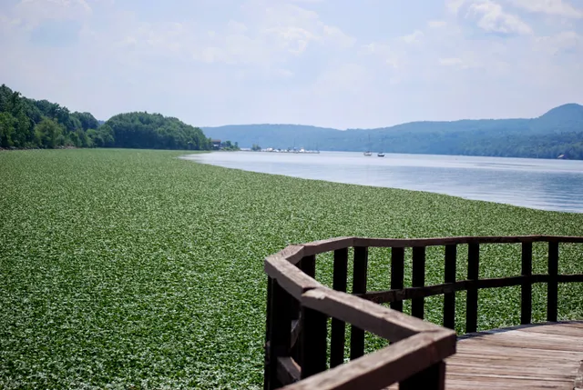 Norrie Point Environmental Center - State Park
