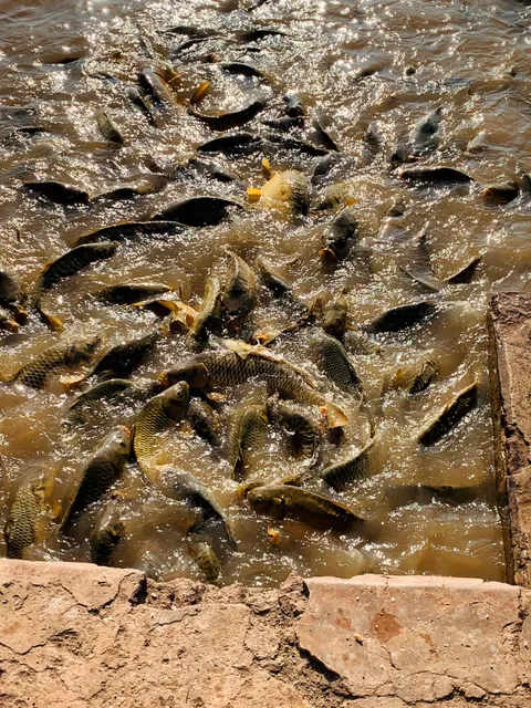 Les Jardins d’Agdal