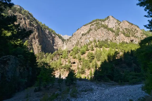 Δρυμός Λευκών Ορέων