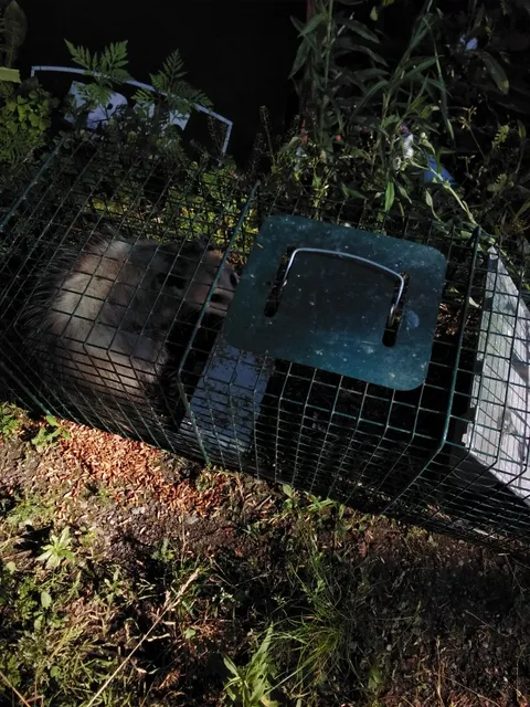 Bellefontaine Parks & Rec Department