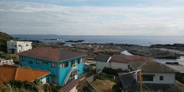 Kawazu Cherry Blossom Trees (Miura Beach Station)