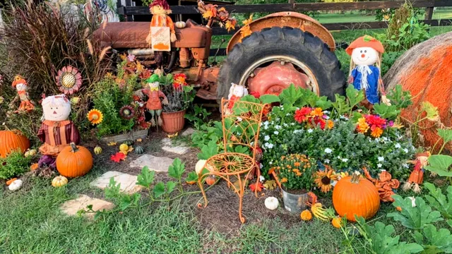 Jubilee Zoo Mobile Services & Brandi’s Barnyard