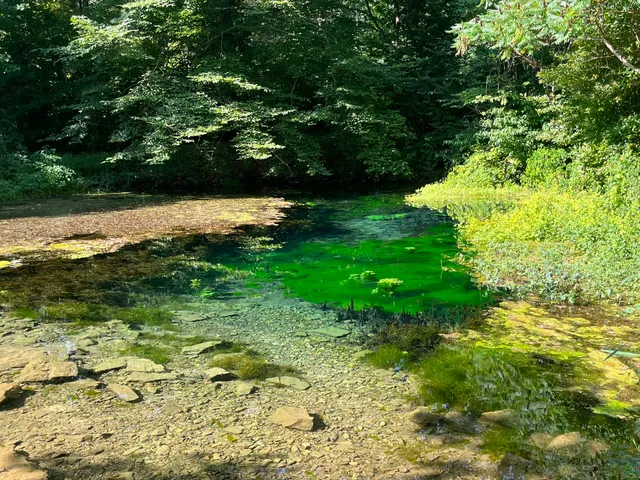 Aquetong Spring Park