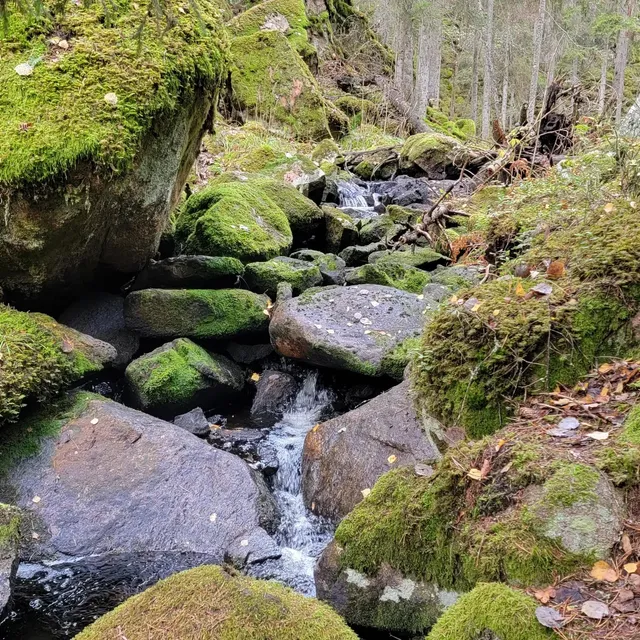 Stuverydsbäcken Naturreservat - Parkering