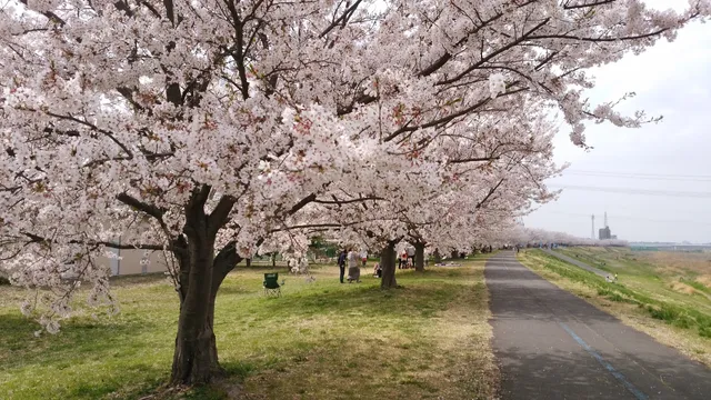 Inagi North Green Space Park