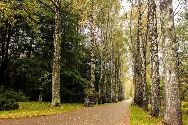 Belarusian Central Botanic Gardens