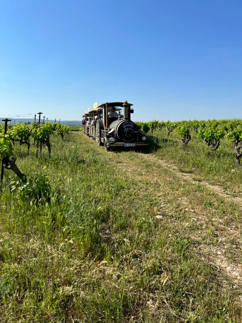 Domaine Alexandrin - Le Petit Train Des Vignes