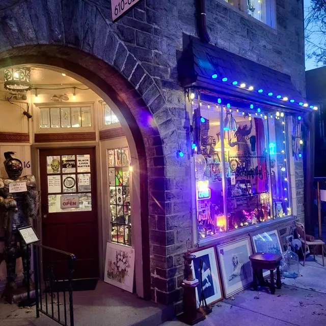 Scrappy Cat (a curiosity shop)