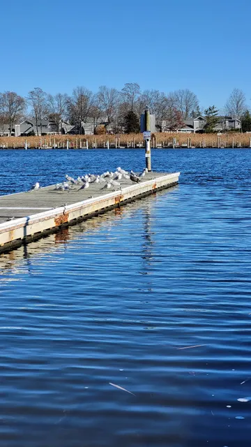 Forge River Boat Club