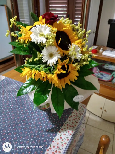 Chiosco Bar Sole Luna