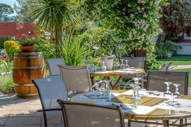 Les Pins Blancs En Provence