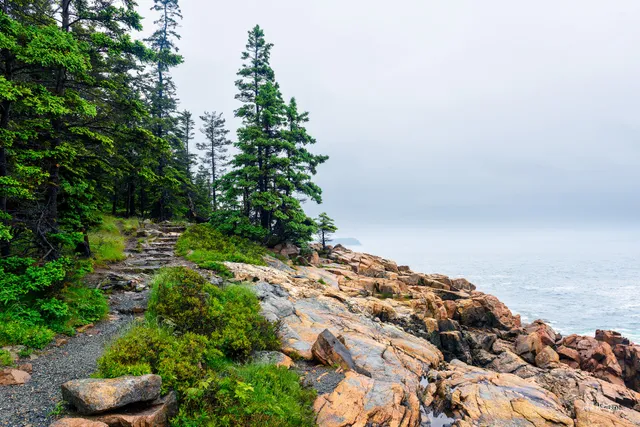 Otter Point Overlook