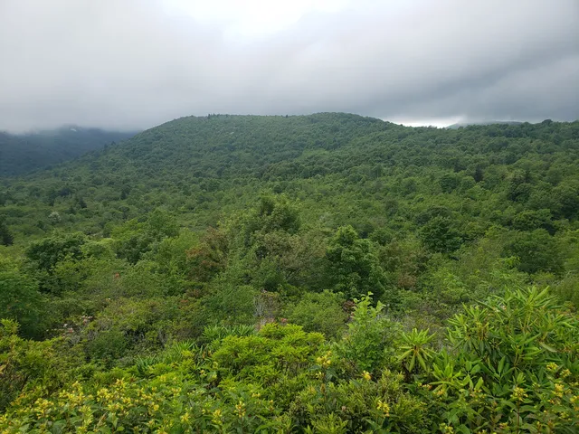 Blue Ridge Parkway - Southern Terminus (Milepost 469)