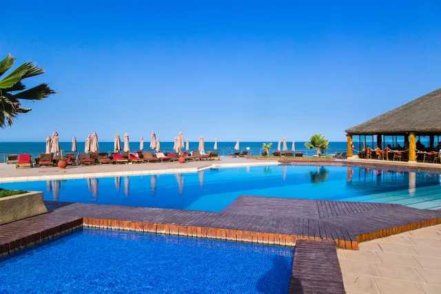 Royal Horizon Baobab