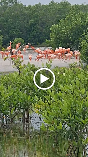 Restaurante Casero "Doña Fini"