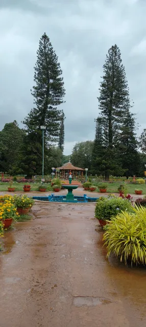 photo-1
