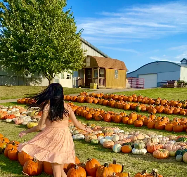 Boggio’s Orchard & Produce