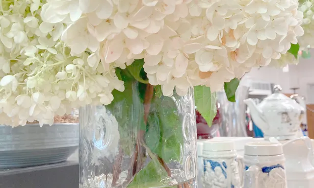 New Canaan Thrift Shop