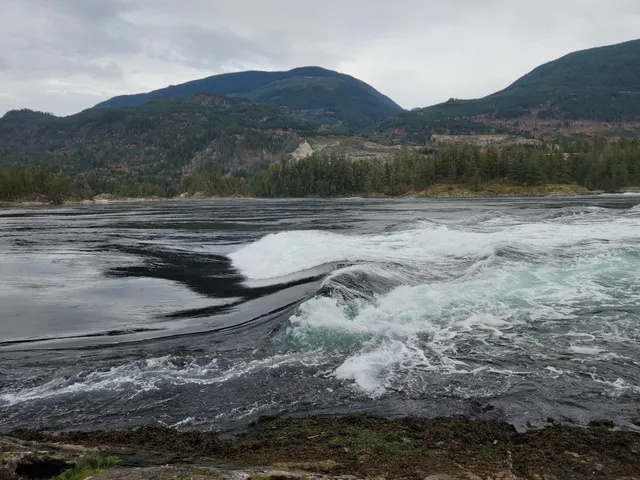 Skookumchuck Narrows Parking