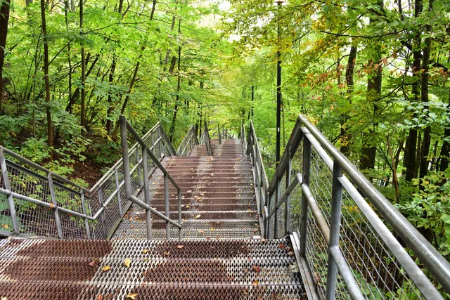 Chedoke Stairs