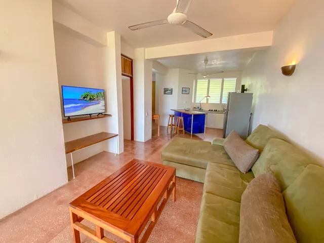 Pura Vida Apartment