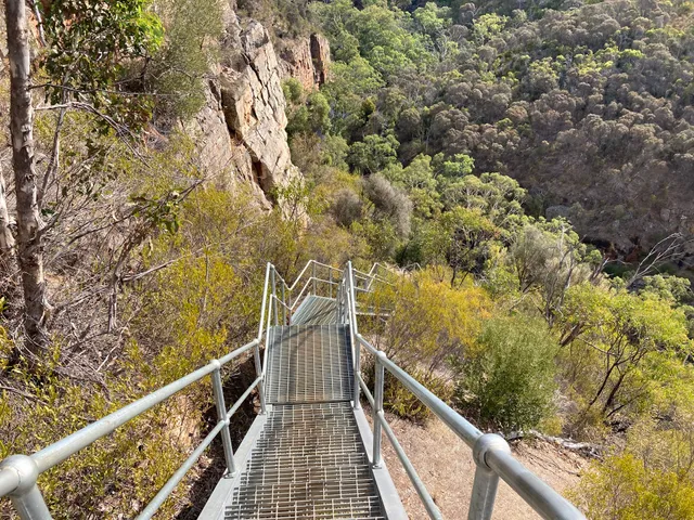 Pink Gum Campground - Onkaparinga River National Park