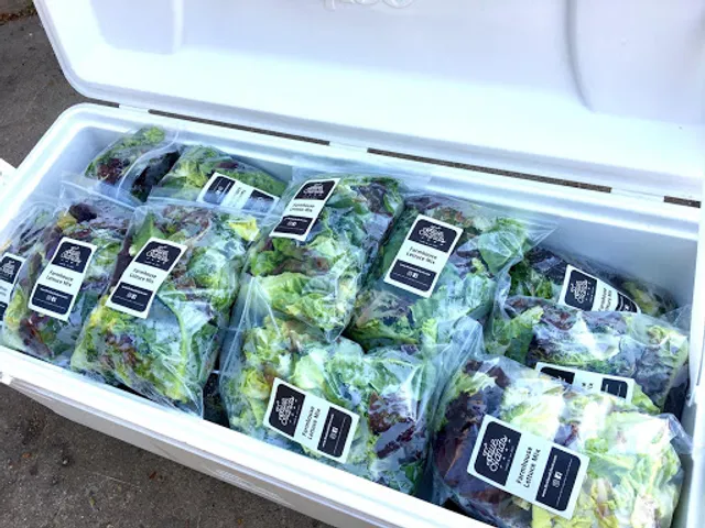 Green is Good by Kate