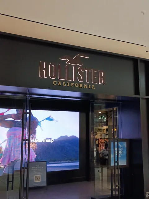 Hollister Co.