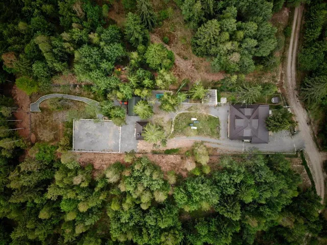 Cabana din padure si casutele din copac Belis