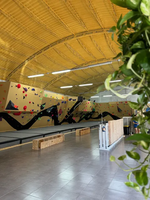 Rocodromo Magic Mountain: Climbing Murcia