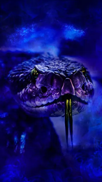 Cenaduria Perla Huasteca Xilitla