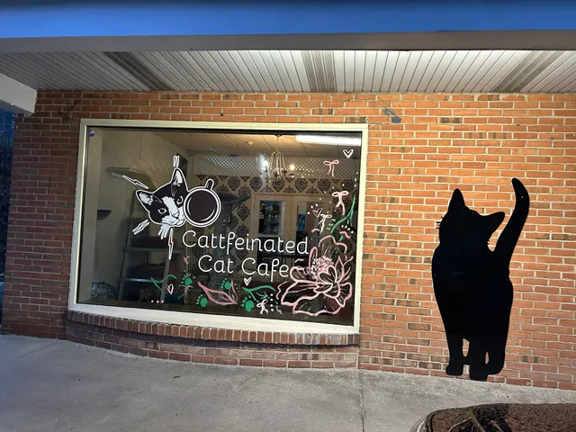 Cattfeinated Cat Cafe