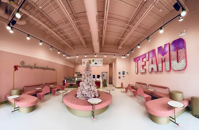 TE'AMO Boba & Desserts - South Barrington