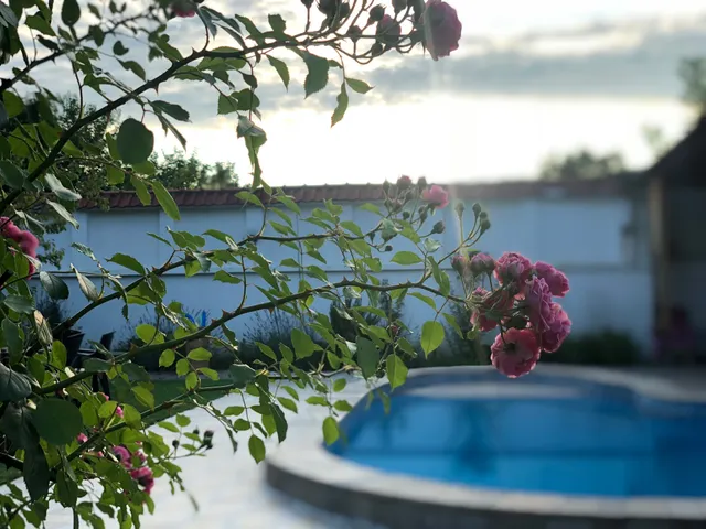 Galeria in The Garden